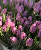 image of a flower 2